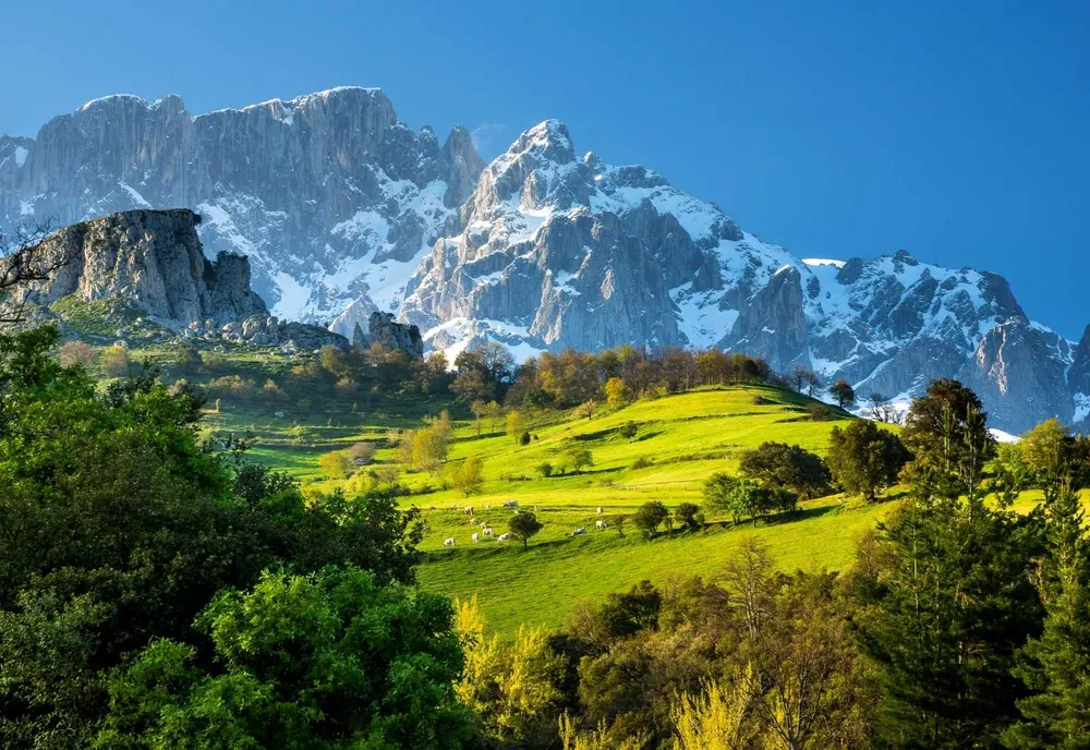 Picos de Europa