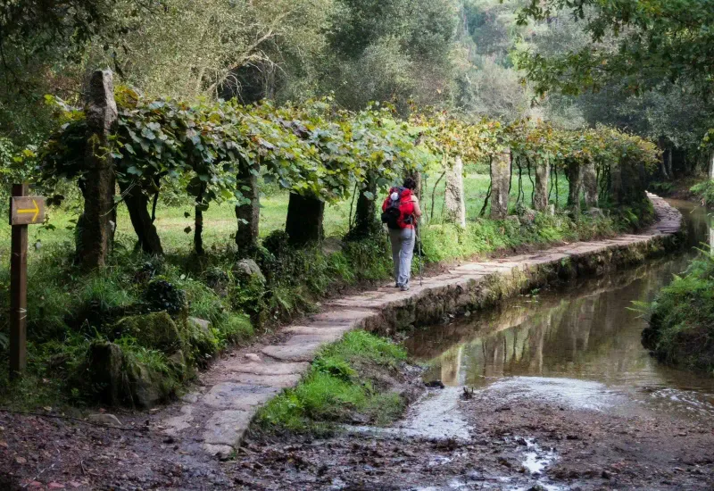 Ana Rosa Quintana en el Camino Portugués