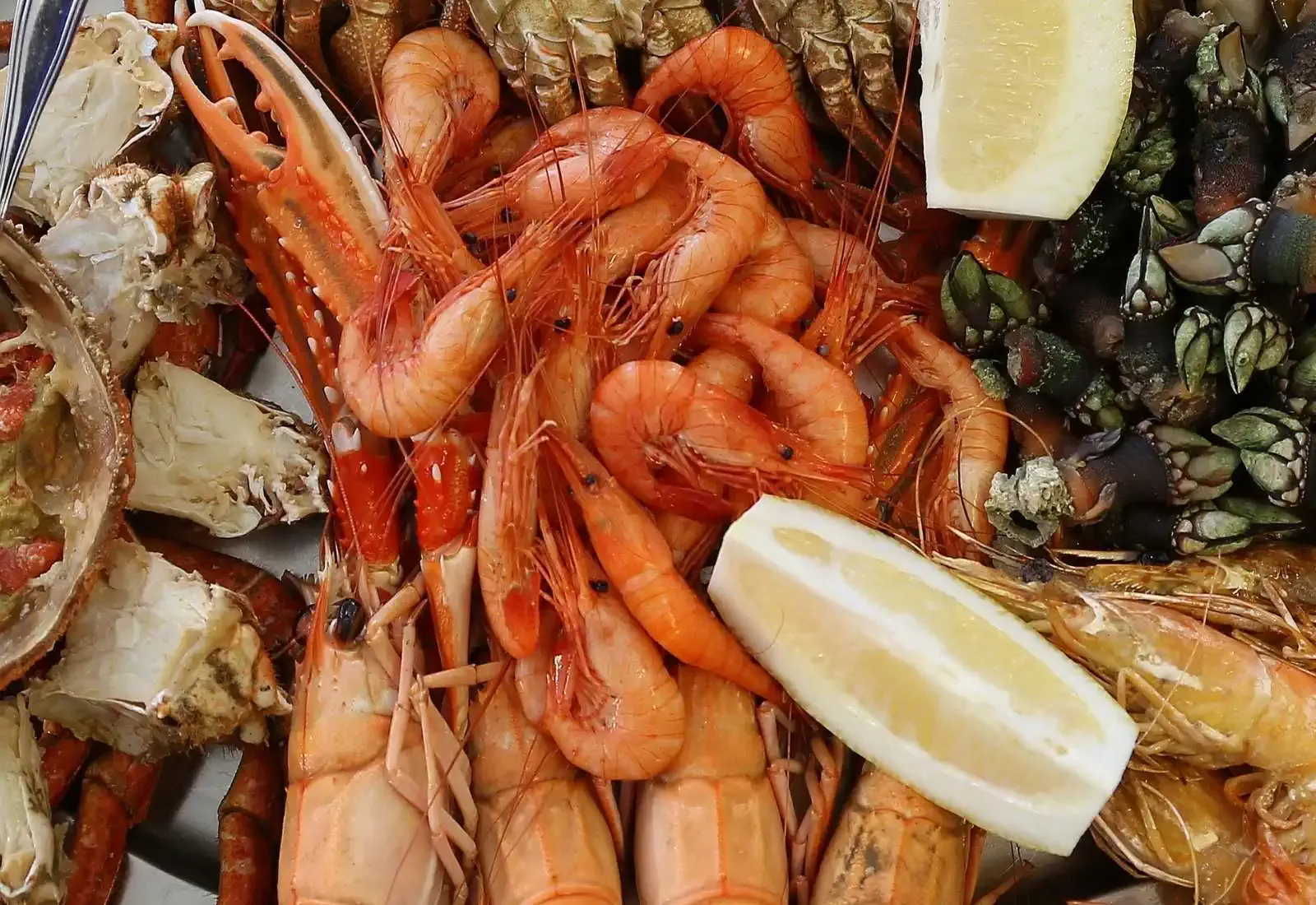 Comidas Camino de Santiago Mariscada