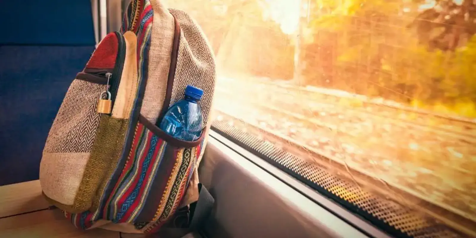 Equipaje en el asiento de un tren con vista panoramica