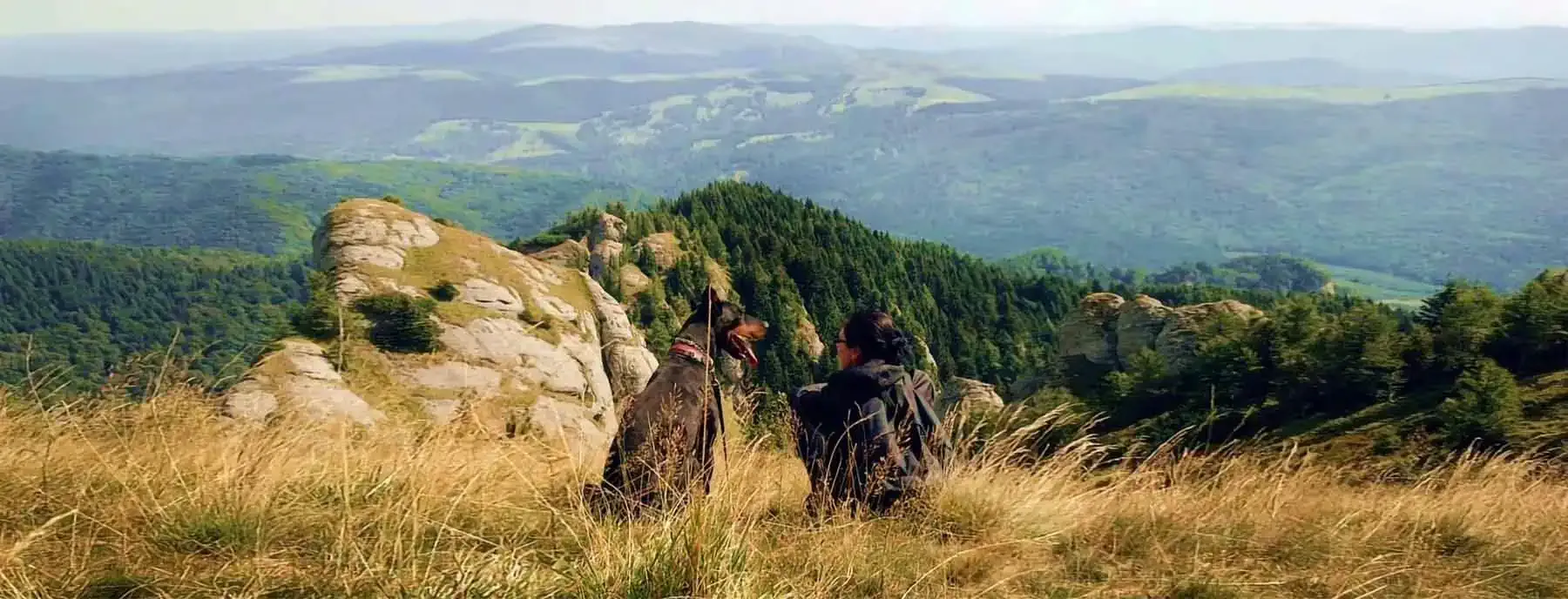Peregrina con su perro contemplando un paisaje montañoso