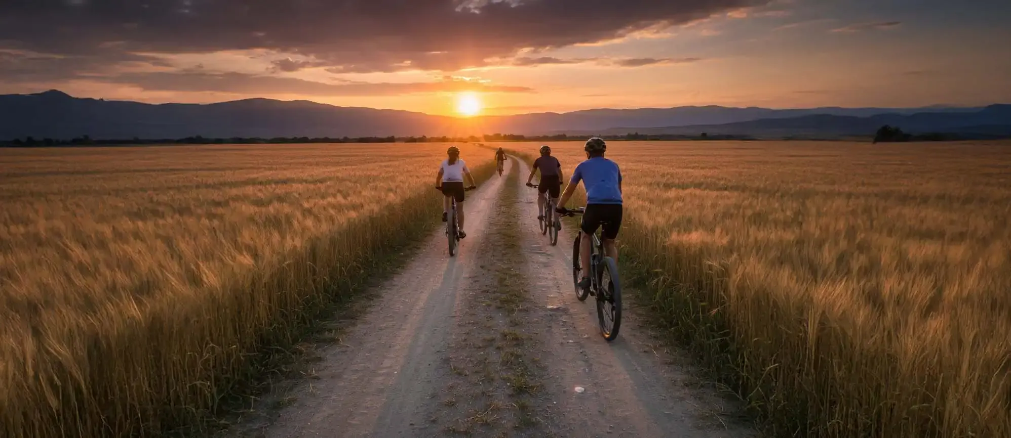 Grupo de cuatro peregrinos en bici por unos campos
