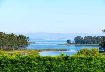 Ría de Arousa