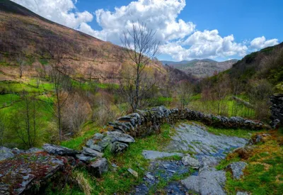 Sendero junto a una linde de piedra