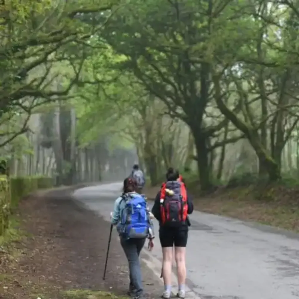 Peregrinas Sobre el Camino de Santiago a Finisterre