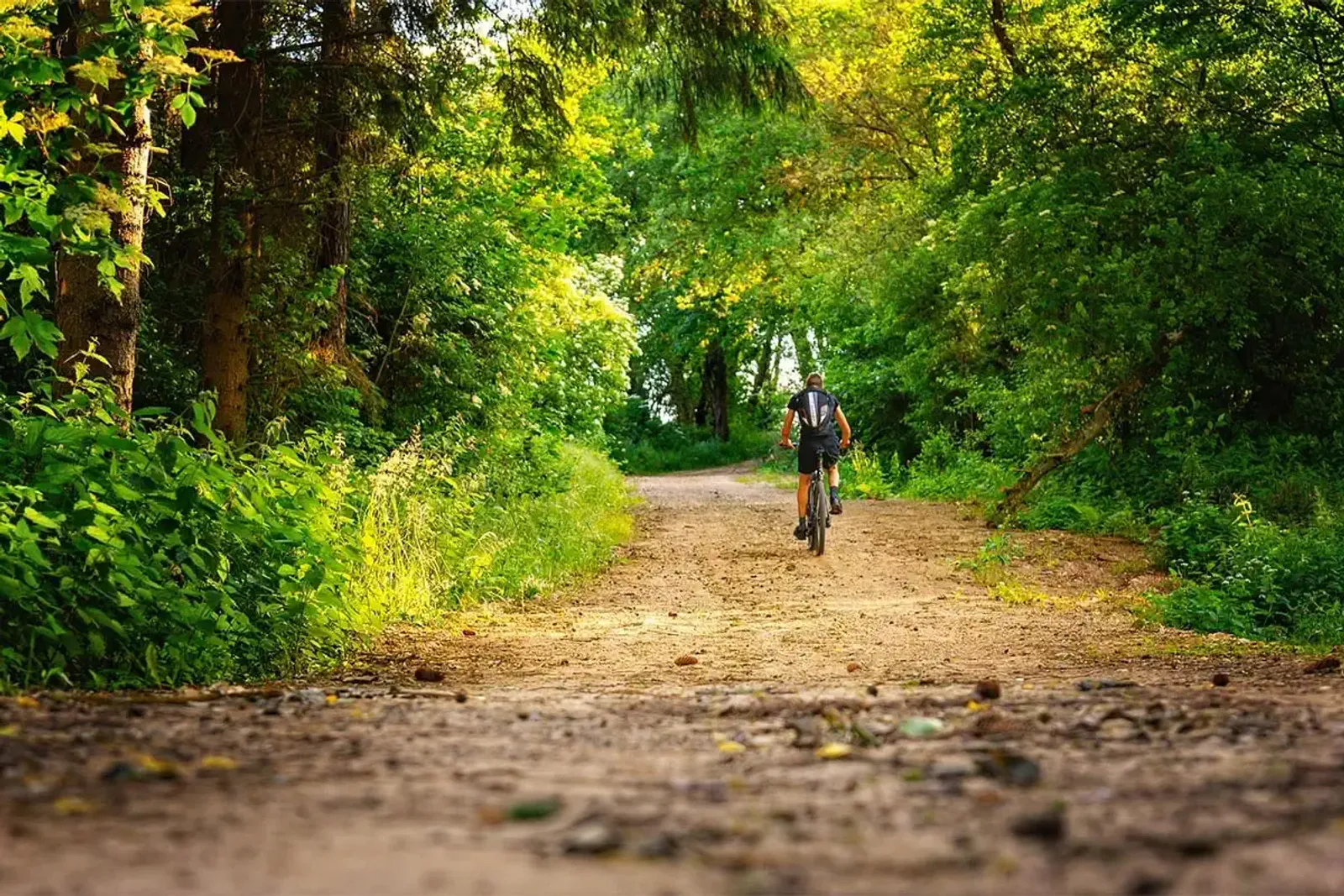 Peregrino en bici de montaña por camino de tierra