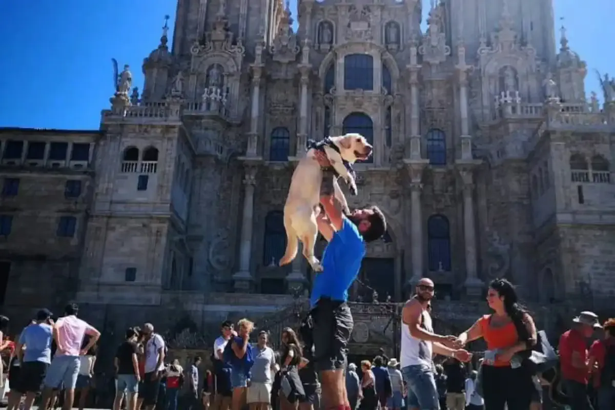 Peregrino levantando a su perro por lo alto celebrando su llegada a Santiago en la Plaza del Obradoiro