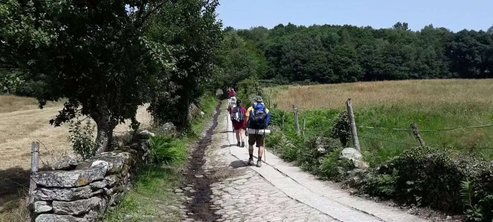 Peregrinos en el Camino de Santiago Francés temporada de Junio