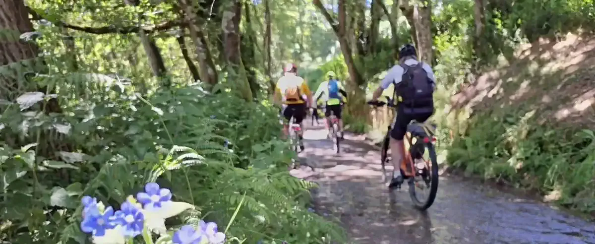 Peregrinos en bicicleta pedaleando por un sendero forestal húmedo y verde, parte de su viaje en el Camino de Santiago.