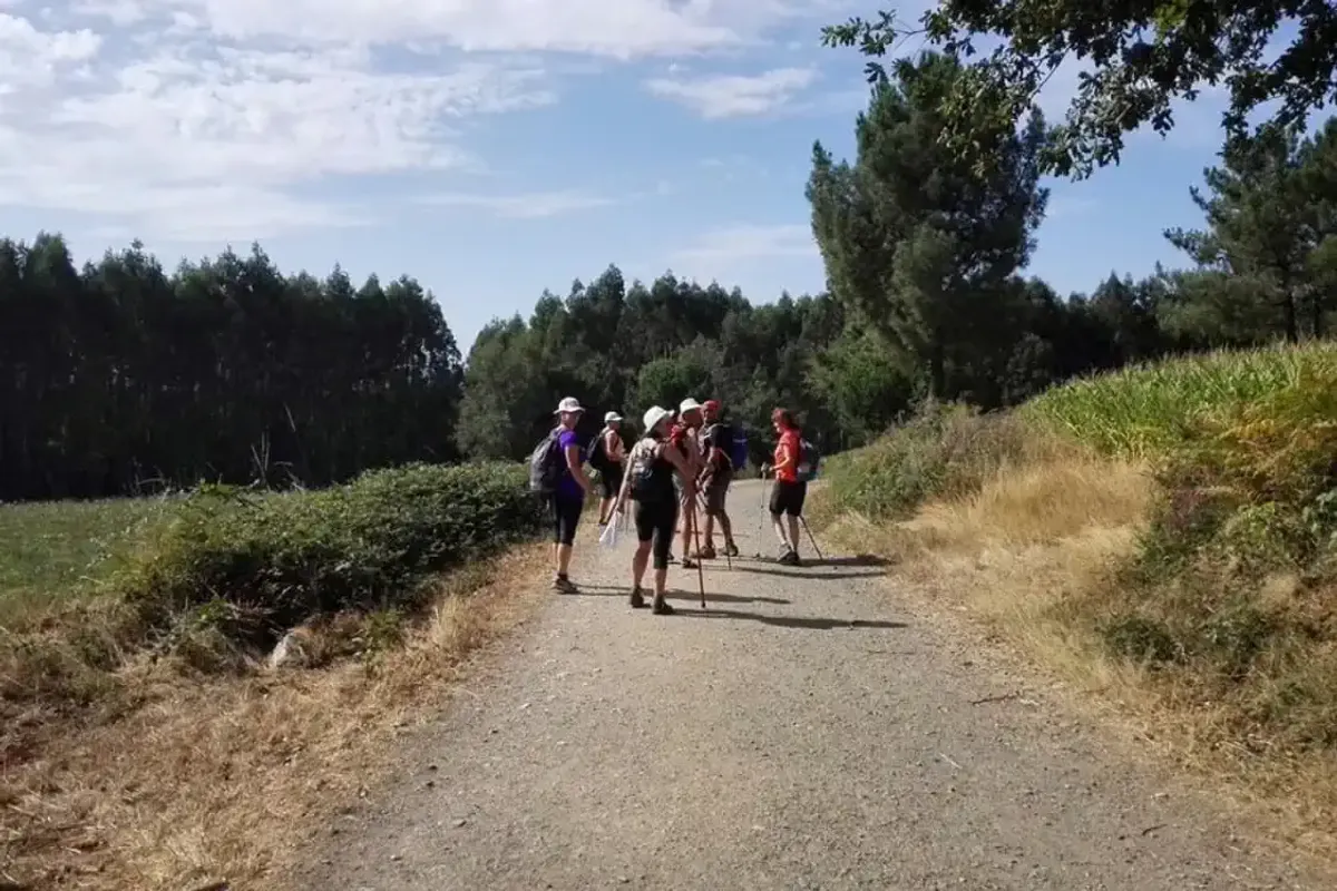 Peregrinos en grupo en el Camino