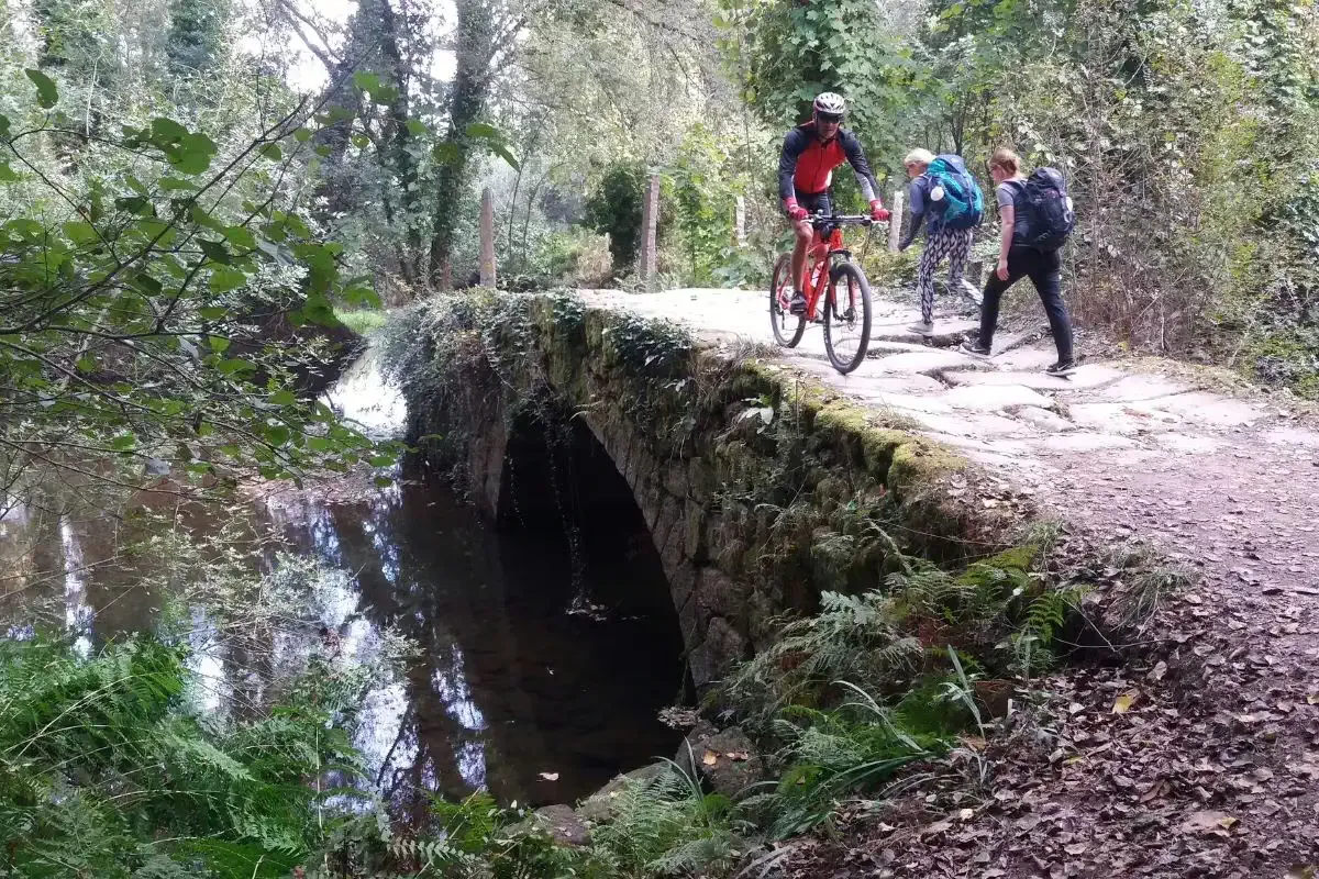 Peregrinos en el camino de la etapa Tui - Porriño