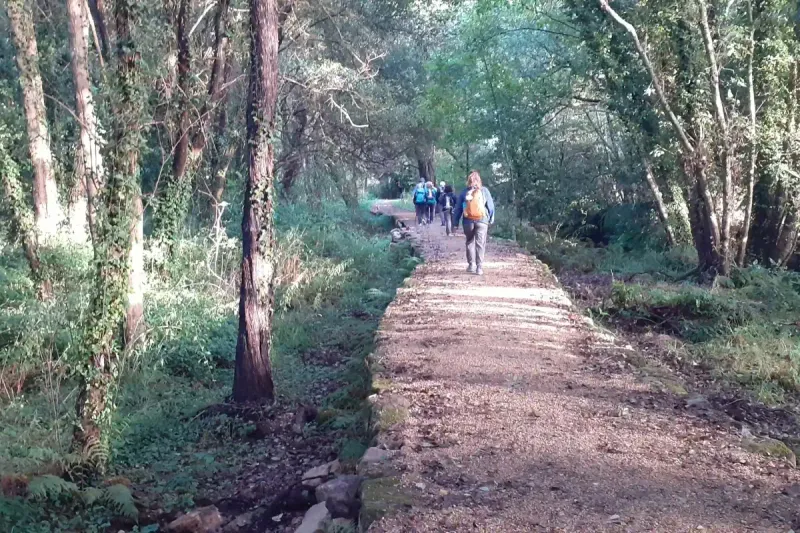 Tramo del Camino de Santiago desde Tui