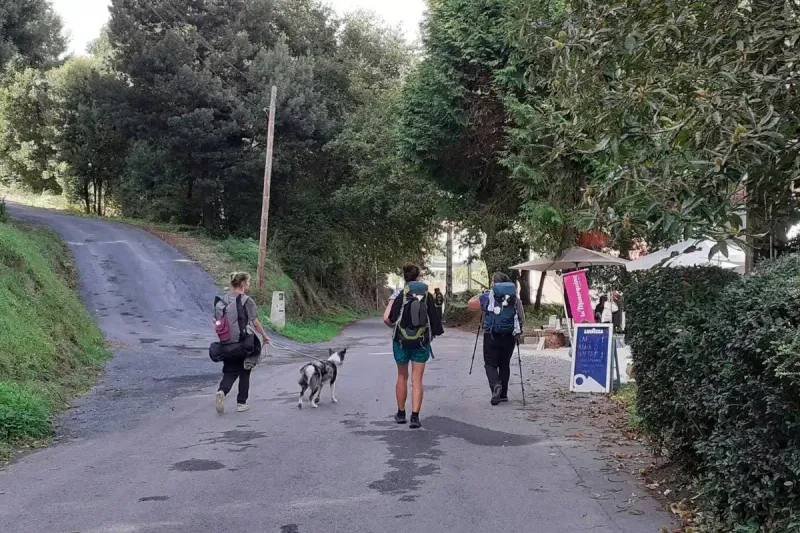 Tres peregrinos con mochilas y bastones caminando por un tramo asfaltado del Camino de Santiago; uno lleva un perro atado, ambiente rural y arbolado.