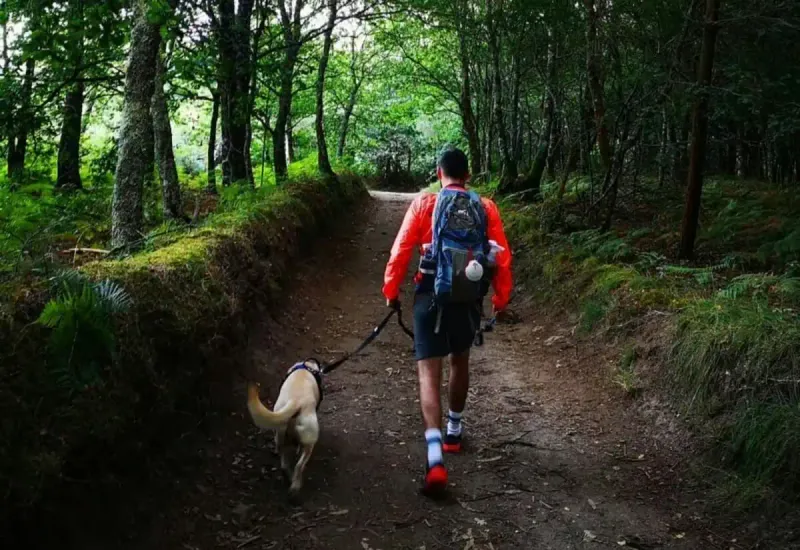 Un peregrino avanza por un sendero boscoso del Camino de Santiago acompañado de su perro, ambos caminando entre árboles y vegetación en una etapa tranquila del recorrido.